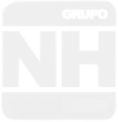 Grupo NH